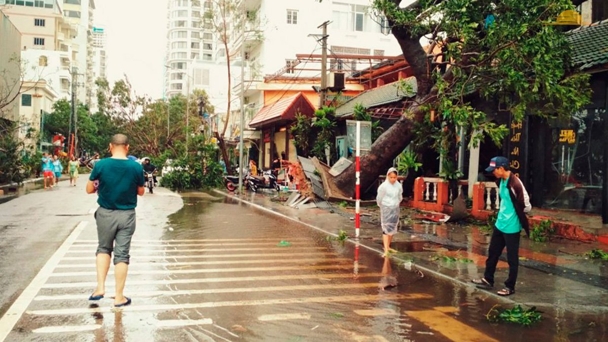 Сами Вьетнамцы ливней не боятся и часто обходятся даже без зонтов