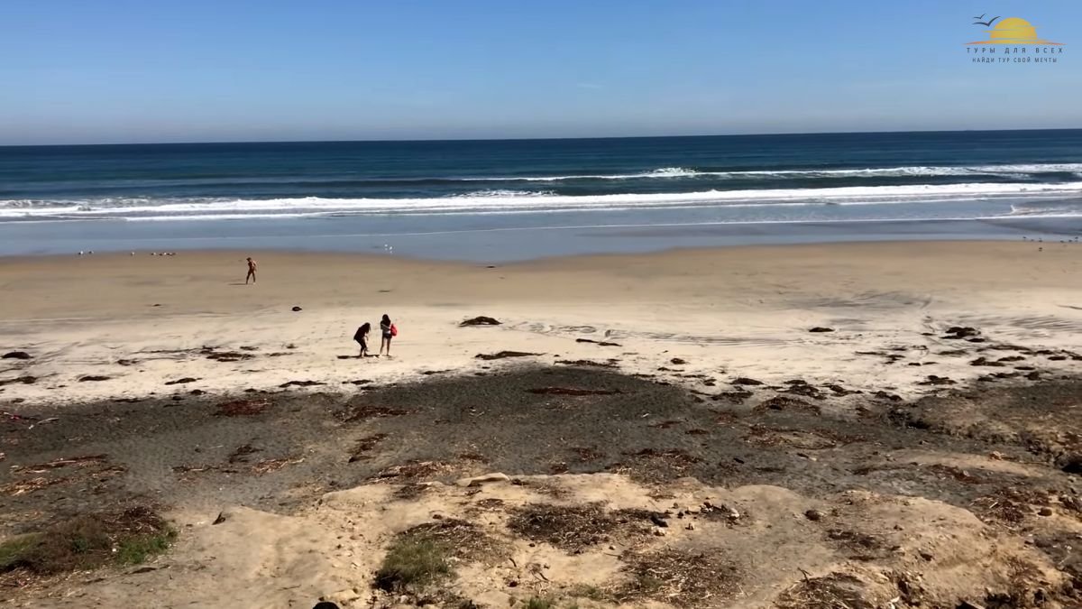 Калифорнийский пляж Блэкс Бич
